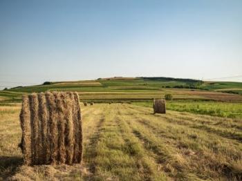 AGRICULTURE